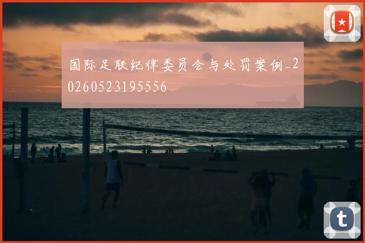 国际足联纪律委员会与处罚案例_20260523195556