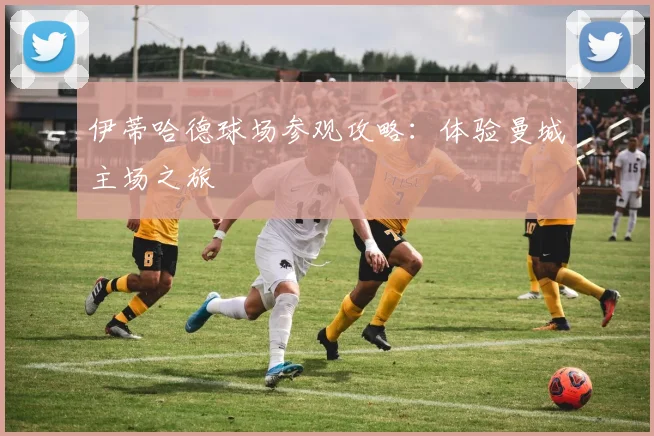 伊蒂哈德球场参观攻略：体验曼城主场之旅