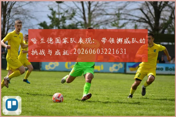 哈兰德国家队表现：带领挪威队的挑战与成就_20260603221631
